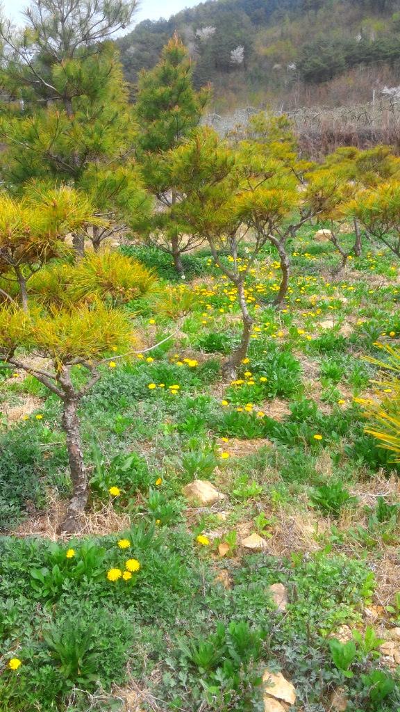 99DCC34E5CBD4241107C06