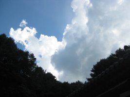 야단법석 이미지
