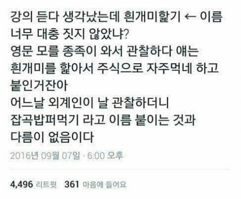 내 웃음 모음 5 | 인스티즈