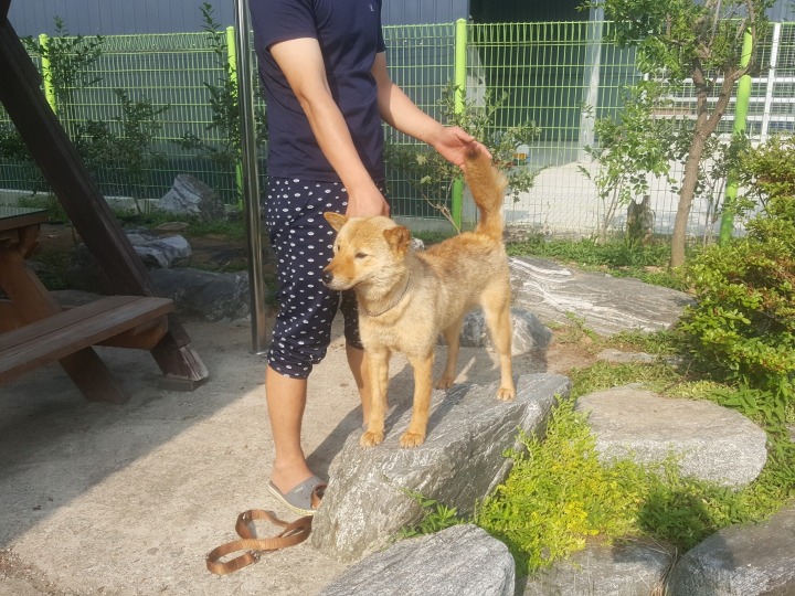 운미가 이미지