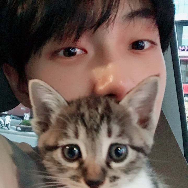 JBJ 김용국이 키우는 고양이 톨비 르시 | 인스티즈