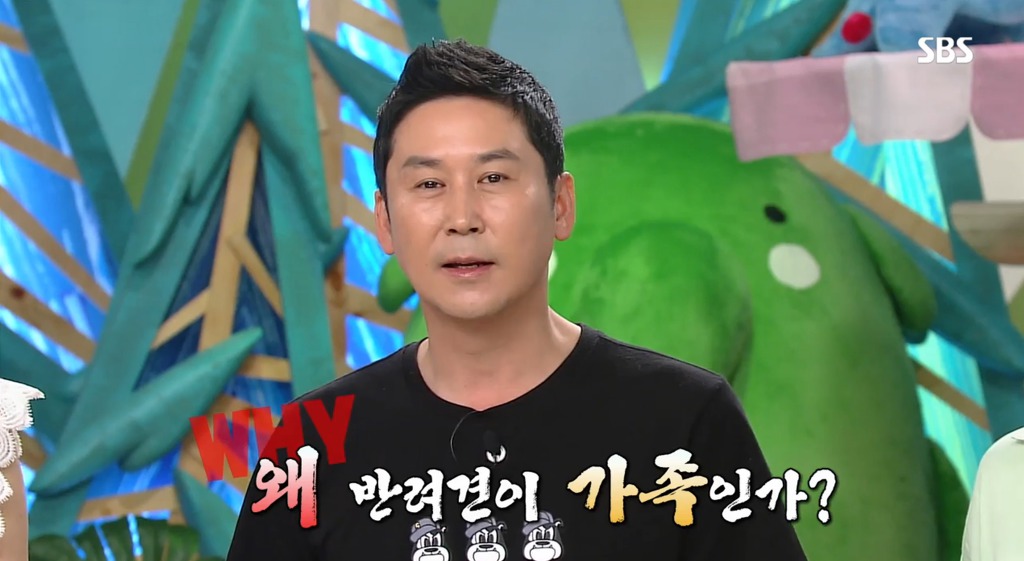 왜 반려견이 가족인가? | 인스티즈