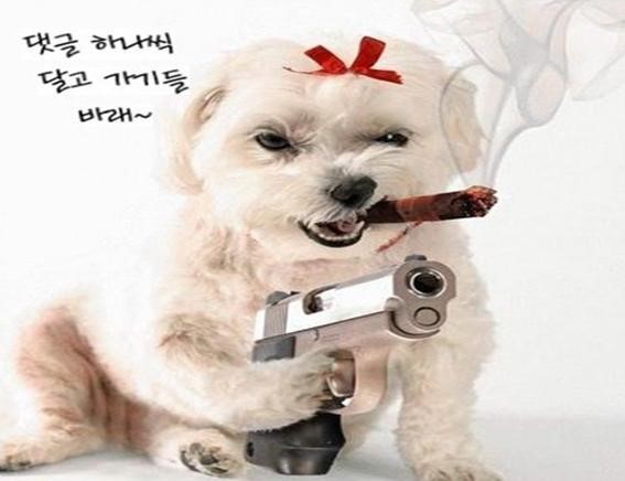 생각대로 이미지