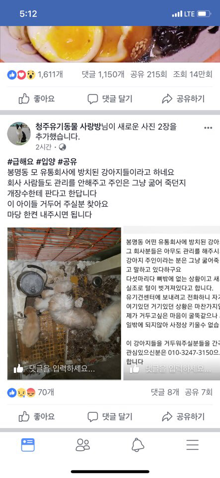 최강한파속 죽어가는 가족강아지들 (청주 봉명동) | 인스티즈