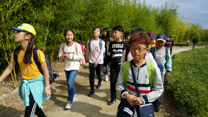 외솔초등학교 이미지