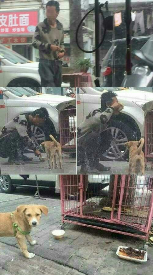 밥도둑 이미지