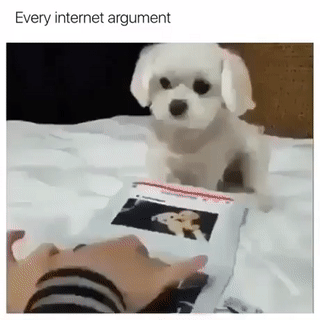 키보드 배틀.gif | 인스티즈