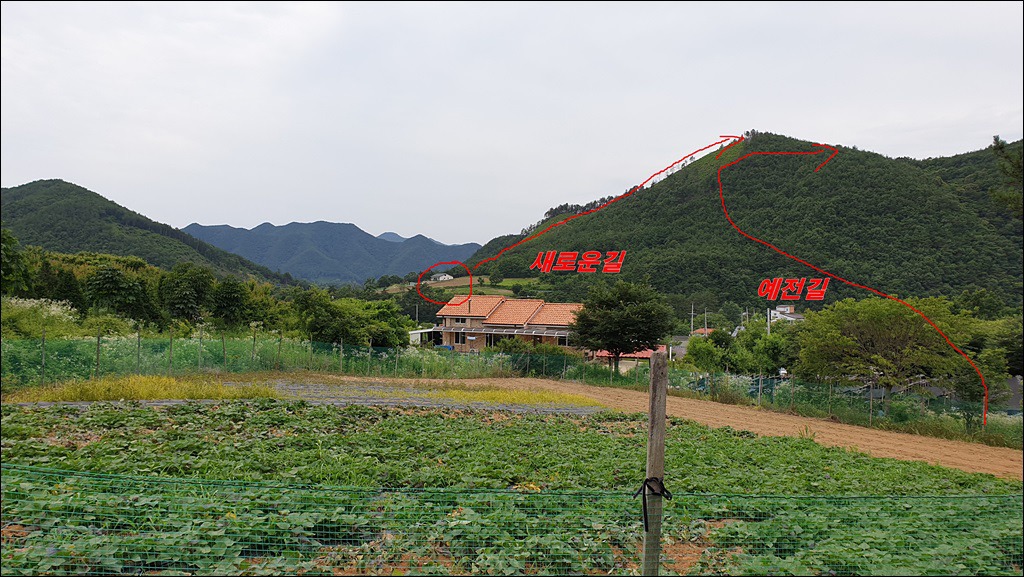 들머리식당 이미지