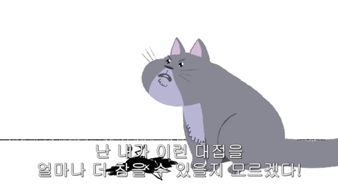 [동물] 고양이의 속마음 | 인스티즈