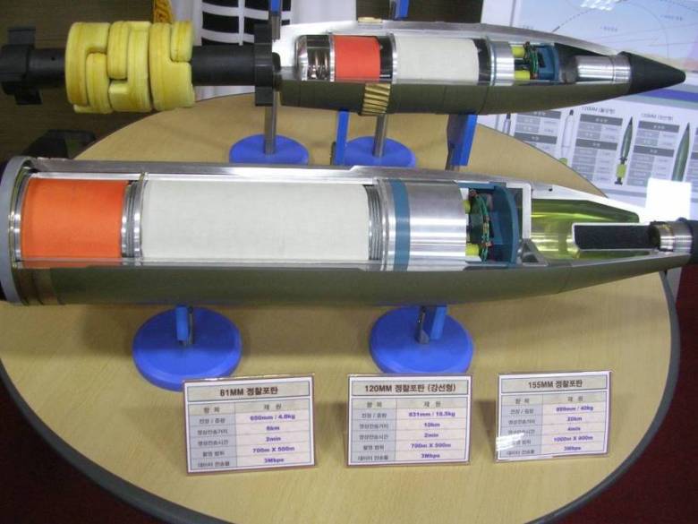 국방부가 포를 쏴서 하려는 것 | 인스티즈