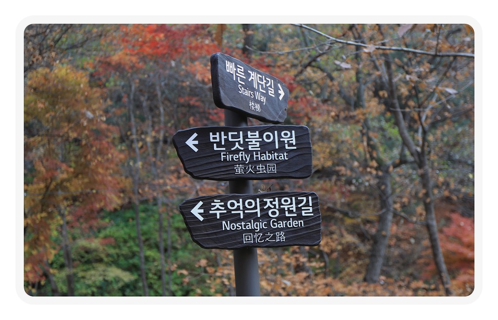 하담 이미지