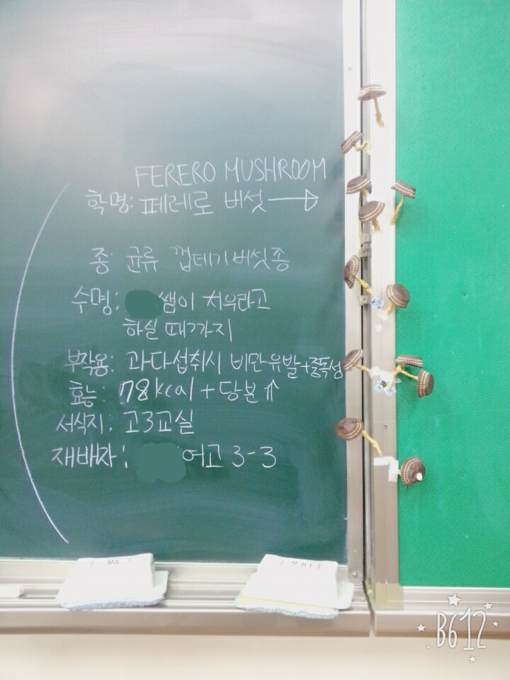 흔한 고3의 페레로 버섯 | 인스티즈
