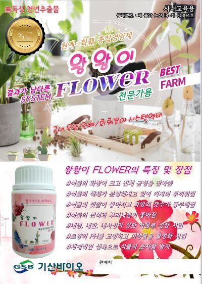 해조플라워 이미지