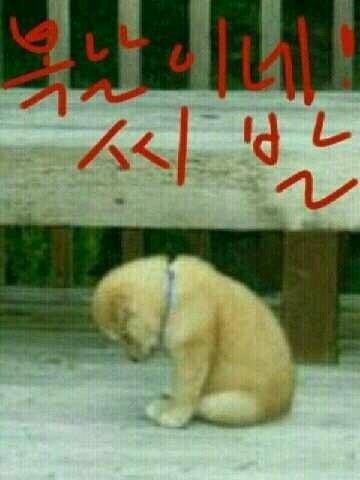 복 이미지