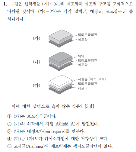 고세균 구조